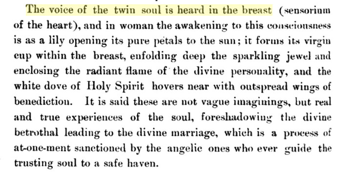 twin flame evidence