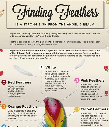 white feather meaning